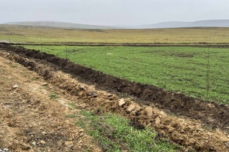 ЦШИ РИ внесла свой  вклад в озеленение трассы Сунжа- Гарагорск